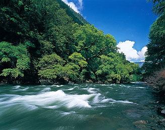 《街头霸王6》特别宣传视频公开 6月2日正式发售