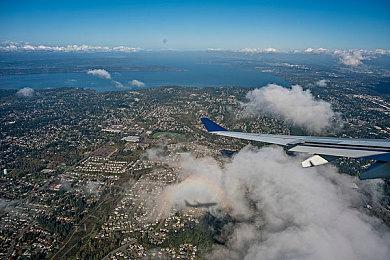 农场经营《家园：精灵之森》公开 NFT强化新游